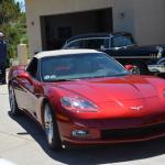 Tortoise_022 (June 17, 2017)